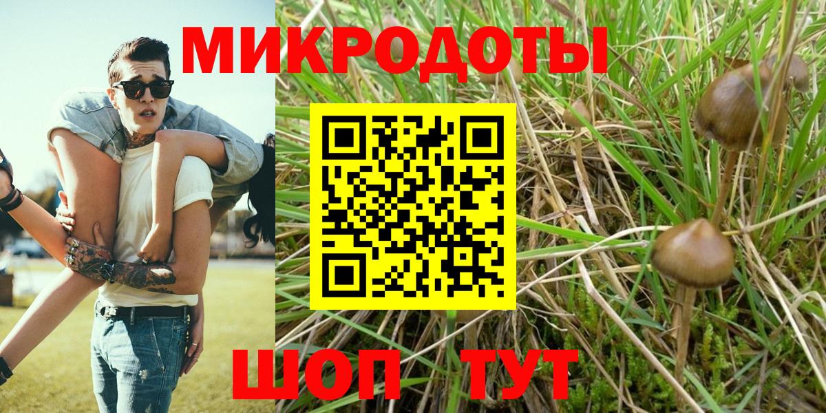 Галлюциногенные грибы мицелий Черкесск