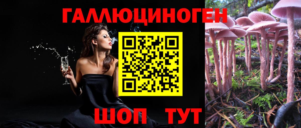 Галлюциногенные грибы прущие грибы  Галлюциногенные грибы прущие грибы  Вход с VPN  Черкесск 